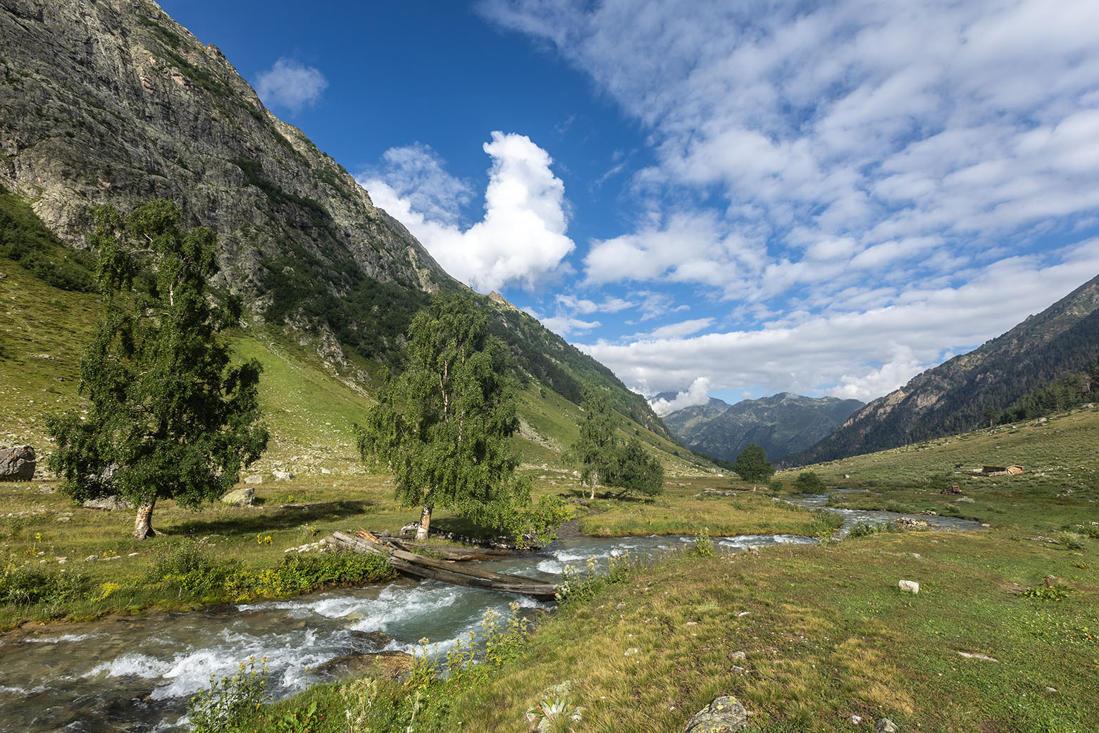 Долина реки Джалпаккол, image of landscape/habitat.