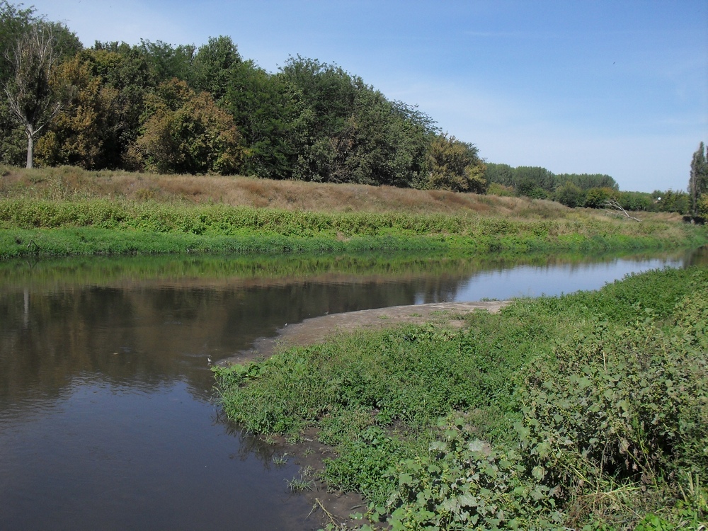 Луганск и окрестности, image of landscape/habitat.