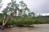 Национальный парк "Бако", image of landscape/habitat.