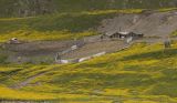 Image of landscape