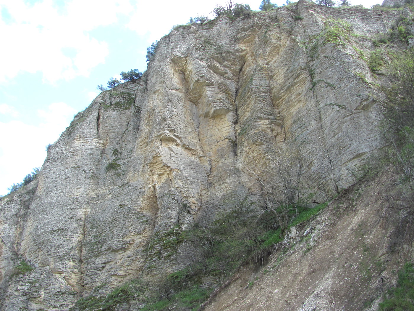 Талги, image of landscape/habitat.