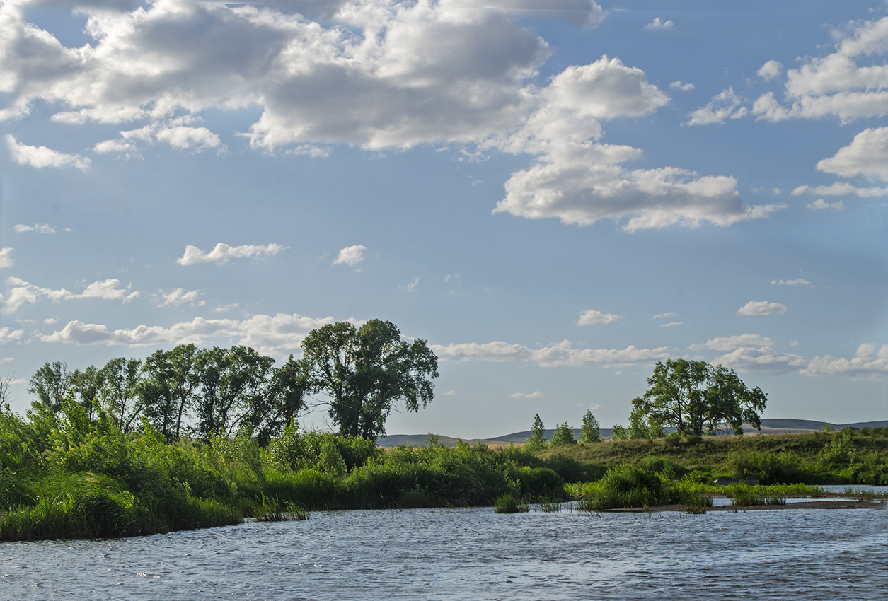 Ершовский, image of landscape/habitat.