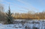 Закамск, изображение ландшафта.