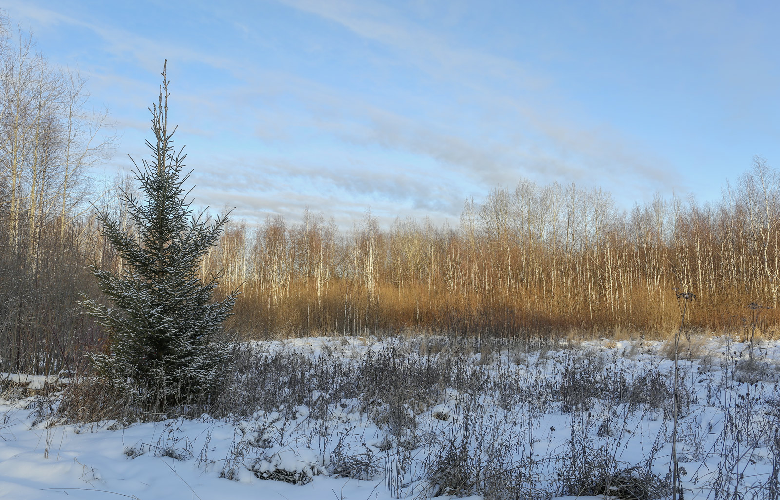 Закамск, image of landscape/habitat.