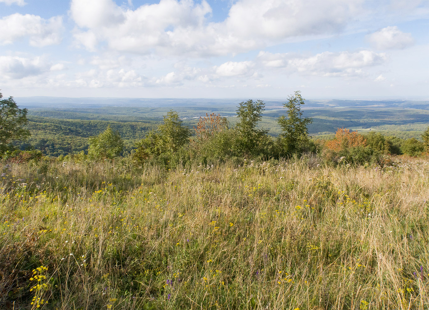 Шпиль, image of landscape/habitat.