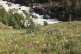 Окрестности водопада Учар, image of landscape/habitat.