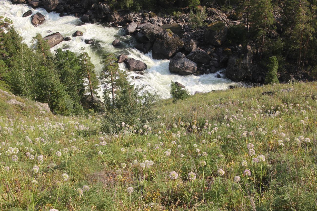 Окрестности водопада Учар, image of landscape/habitat.