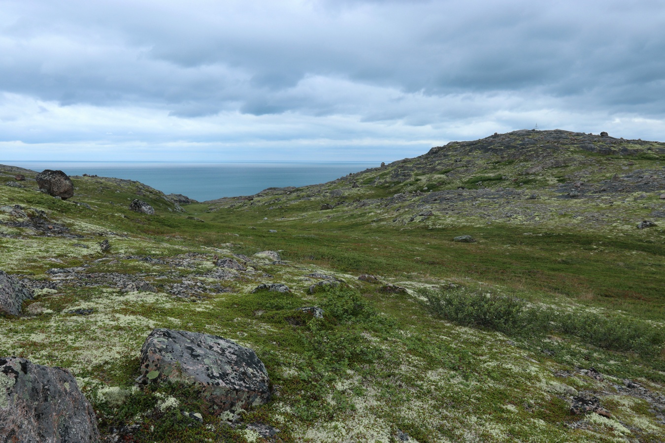 Высота 111.7, image of landscape/habitat.