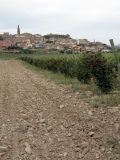 Image of landscape