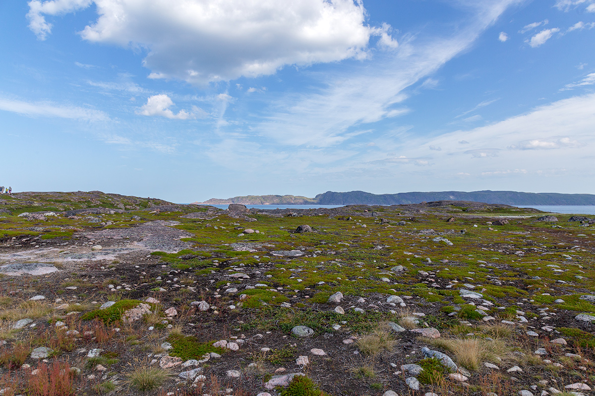 Териберка, image of landscape/habitat.