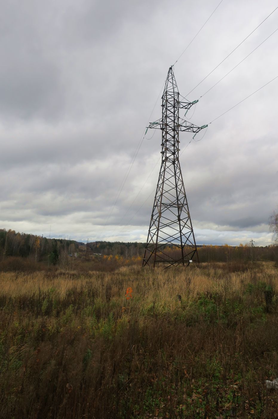 6-й км Красноармейского шоссе, image of landscape/habitat.