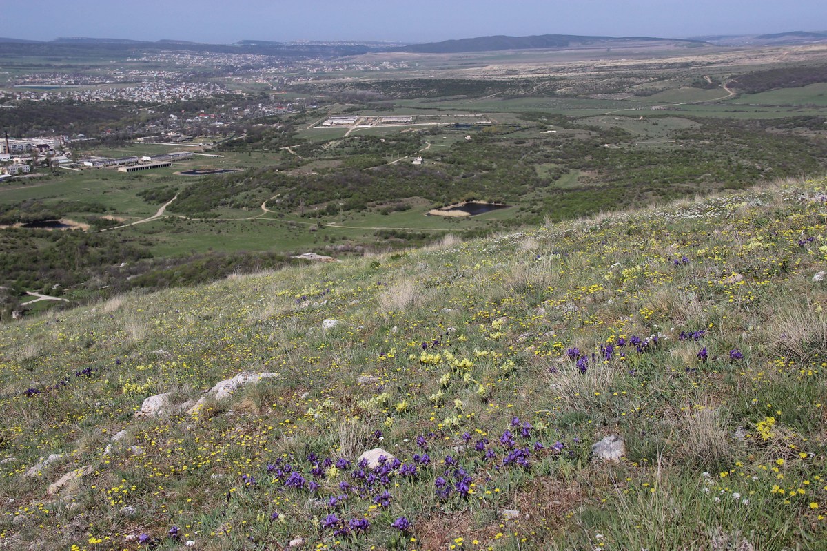 Долгоруковская яйла, image of landscape/habitat.