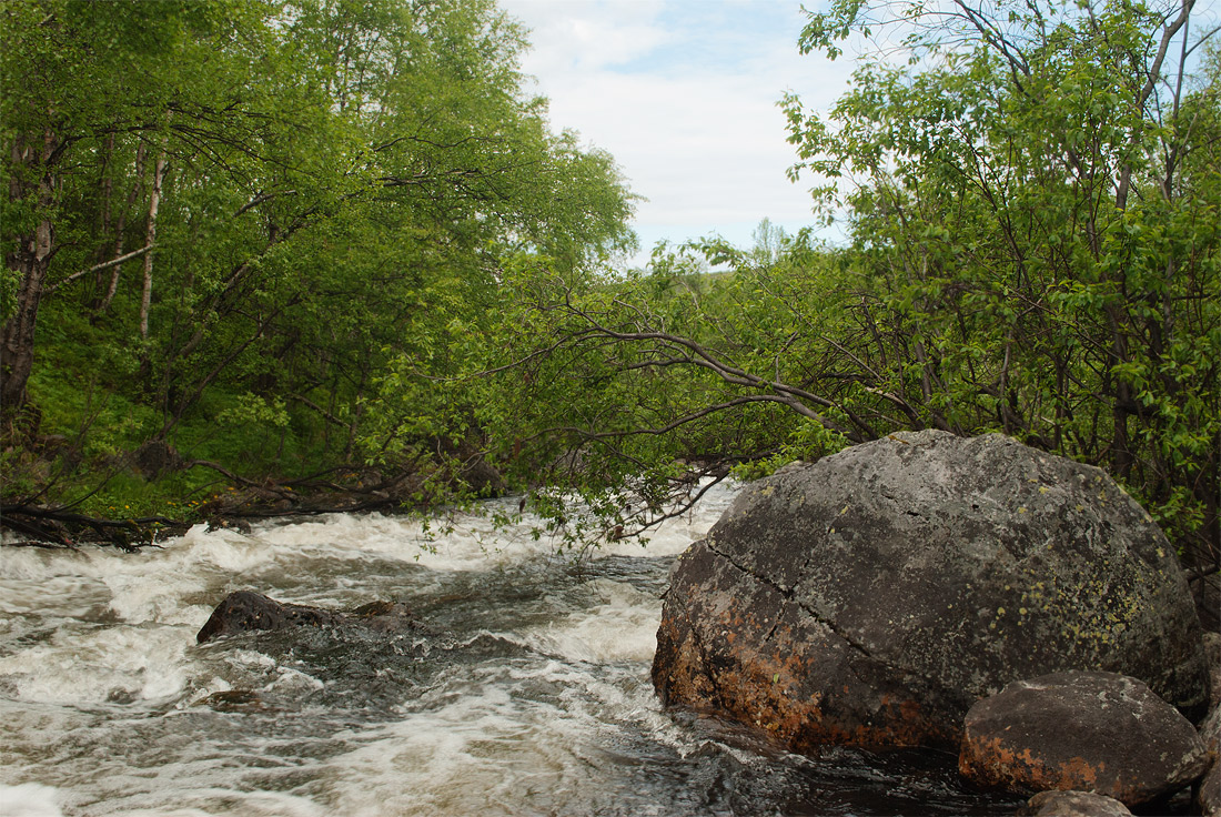 Окрестности Североморска, image of landscape/habitat.