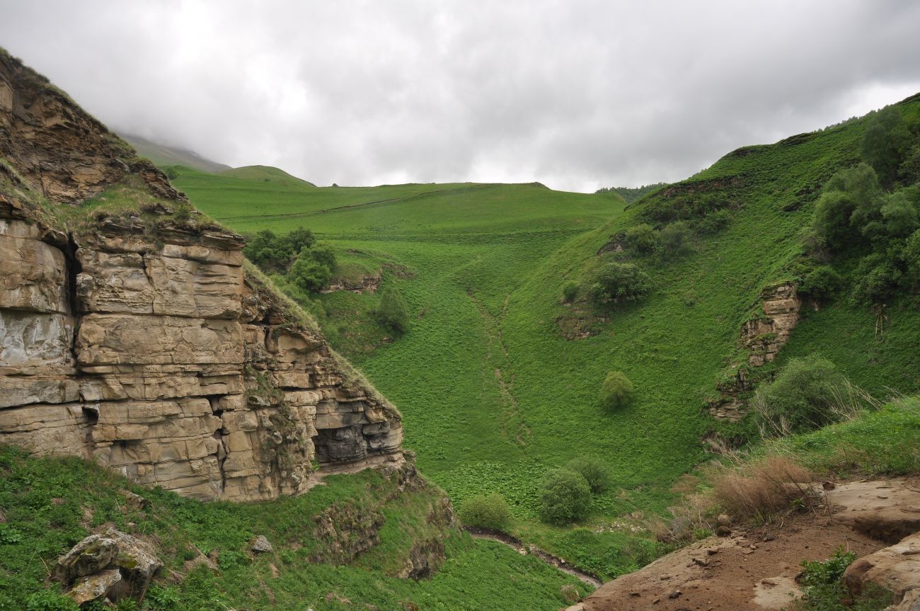 Окрестности скалы Арка, image of landscape/habitat.