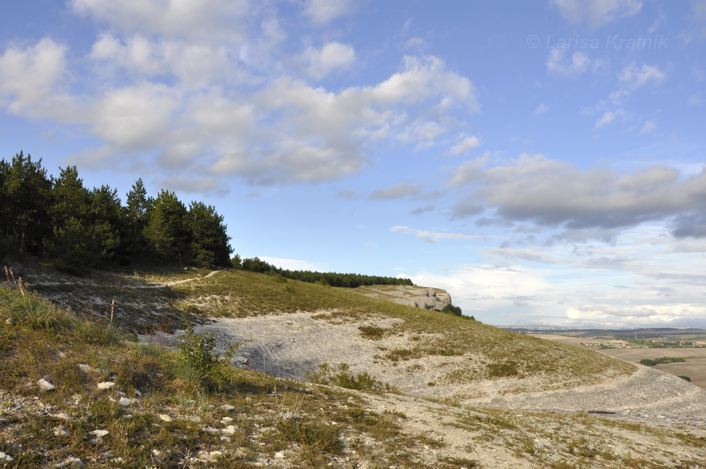 Окрестности Малиновки, image of landscape/habitat.