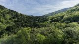 Мыс Большой Утриш, image of landscape/habitat.