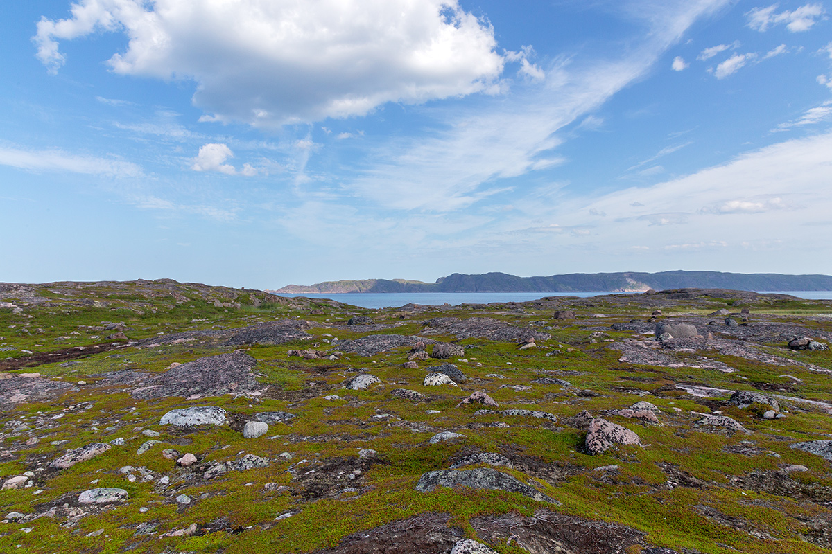 Териберка, image of landscape/habitat.