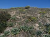 Image of landscape