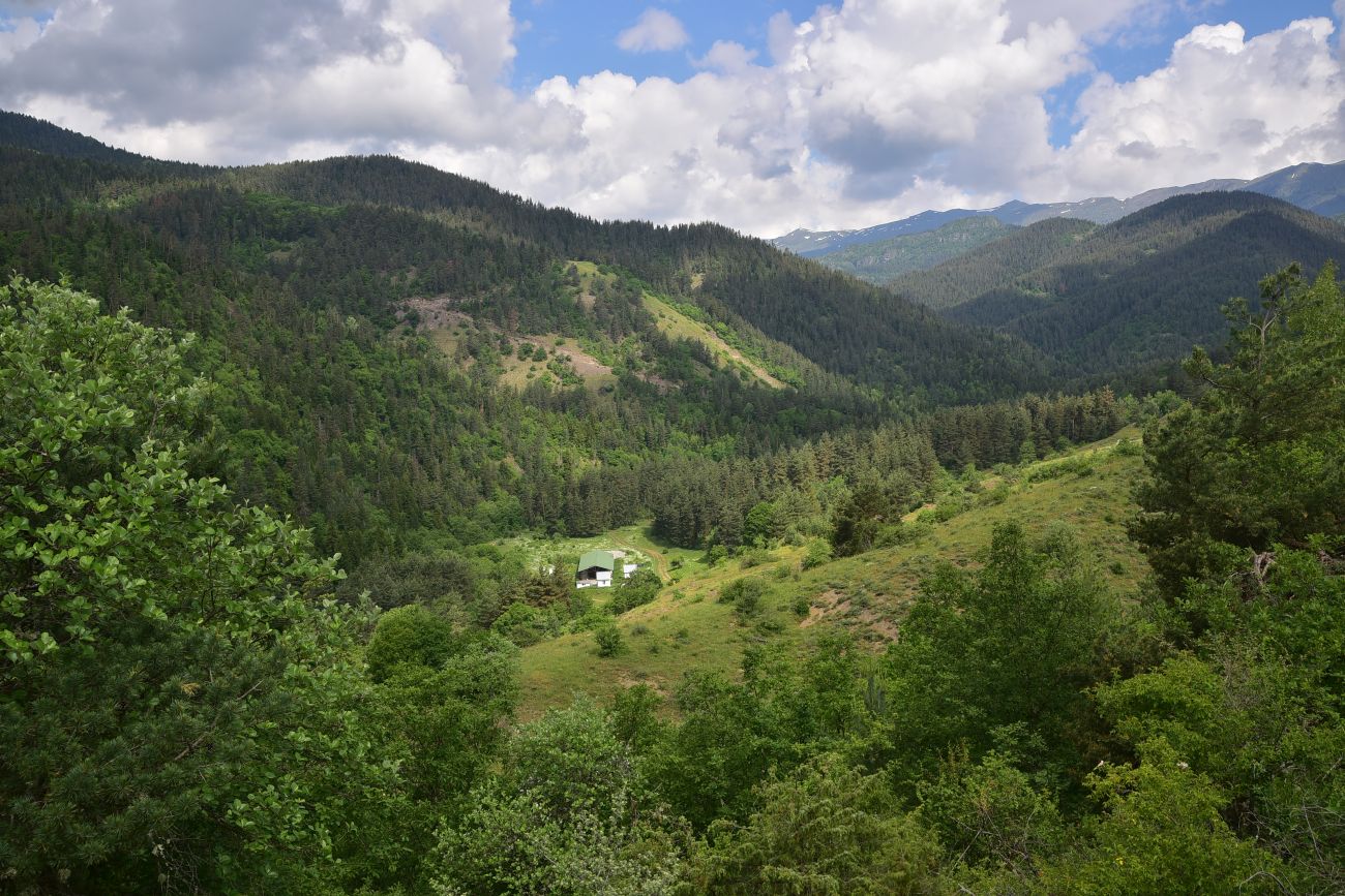 Цинубанская баня, image of landscape/habitat.