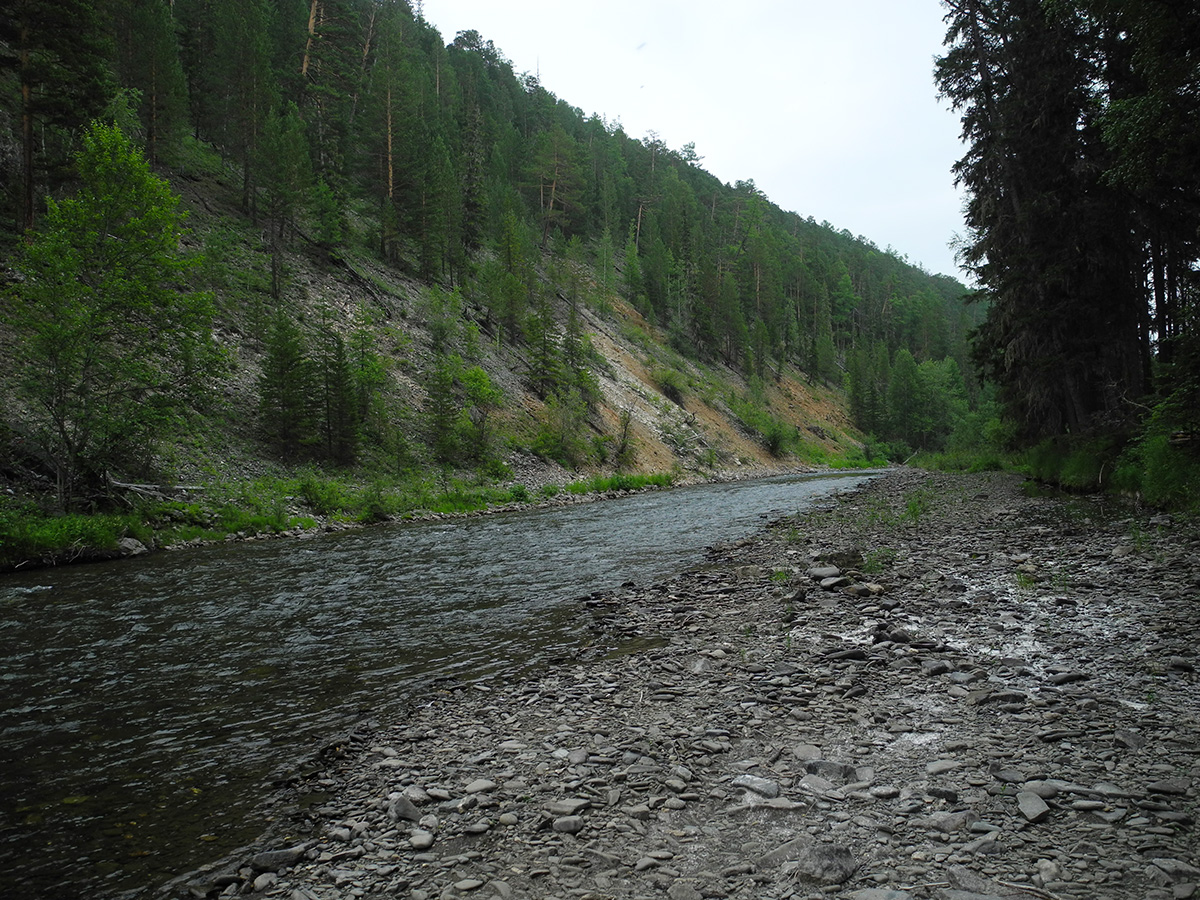 Низовье реки Чанчур, image of landscape/habitat.