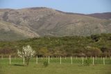 Долгоруковская яйла, image of landscape/habitat.