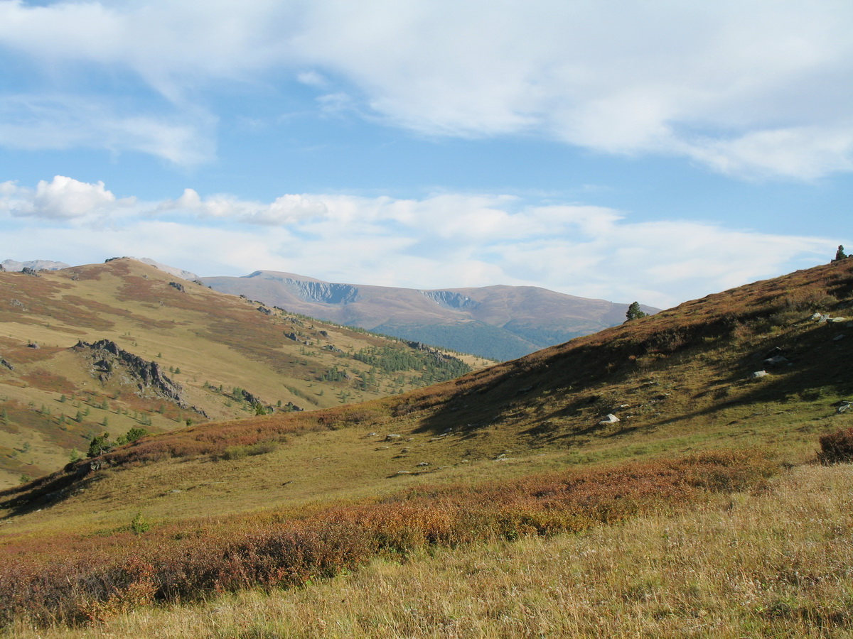 Перевал Бурхат, image of landscape/habitat.