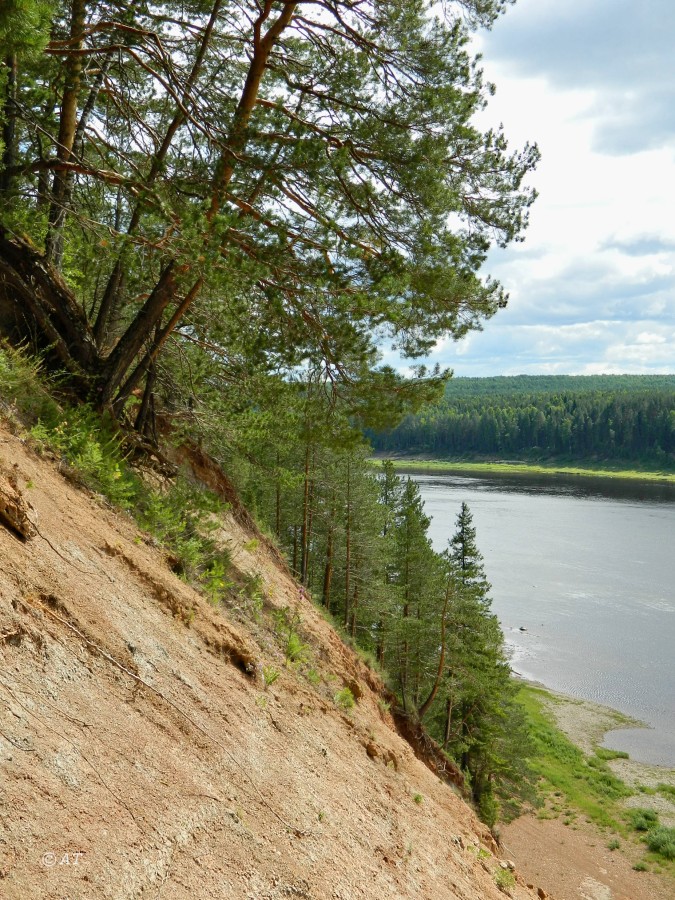 Устье Мяколицы, image of landscape/habitat.