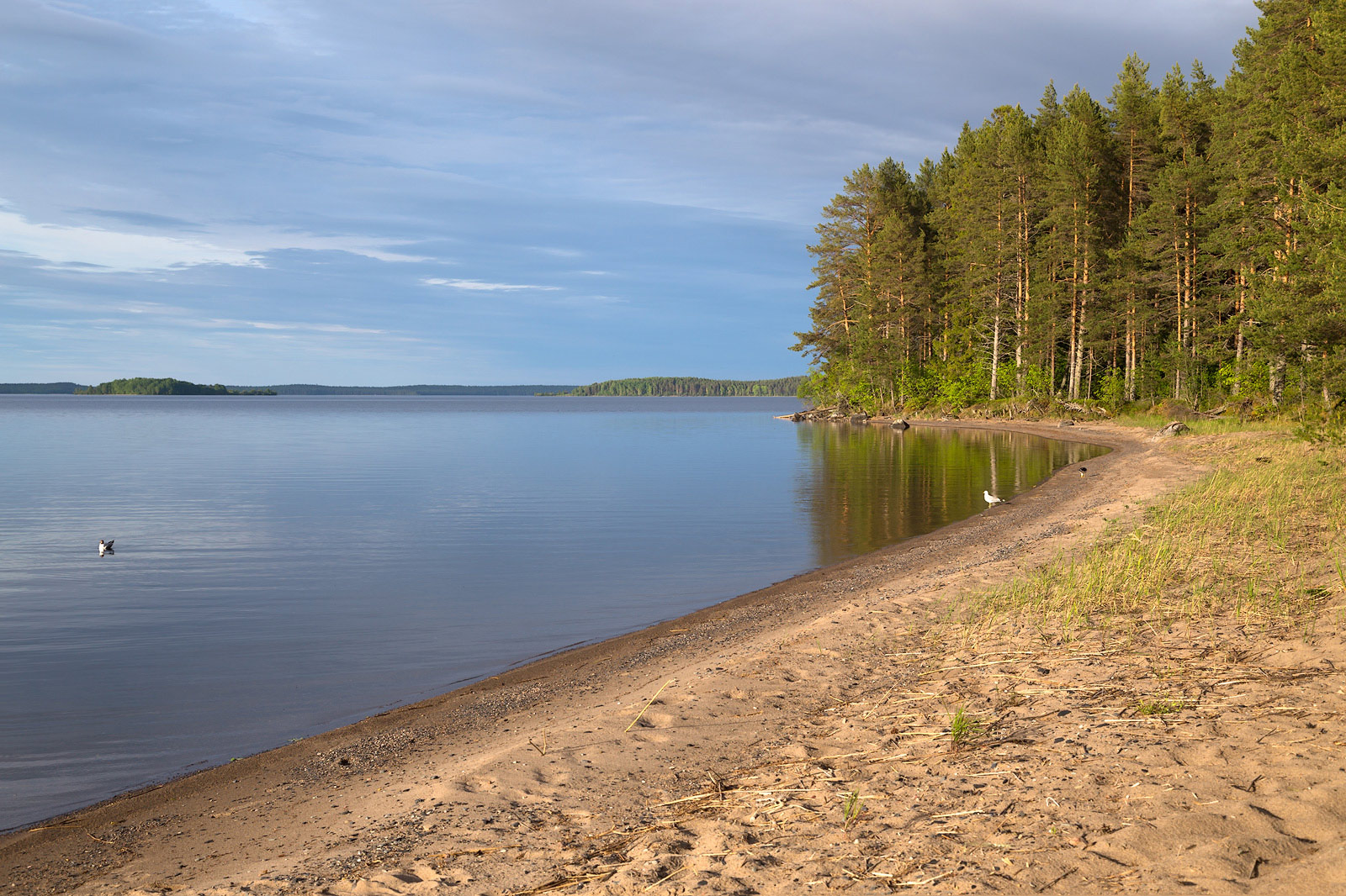 Клим Нос, image of landscape/habitat.