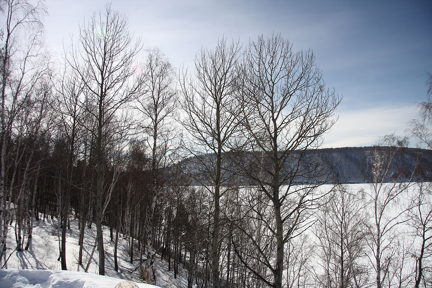 Тальцы, image of landscape/habitat.