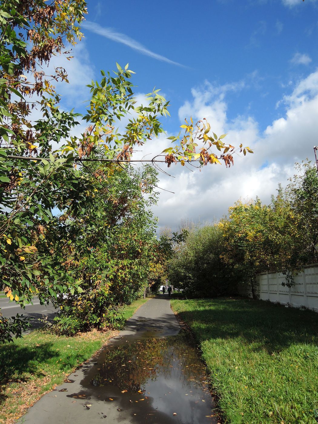 Перово (местность), image of landscape/habitat.