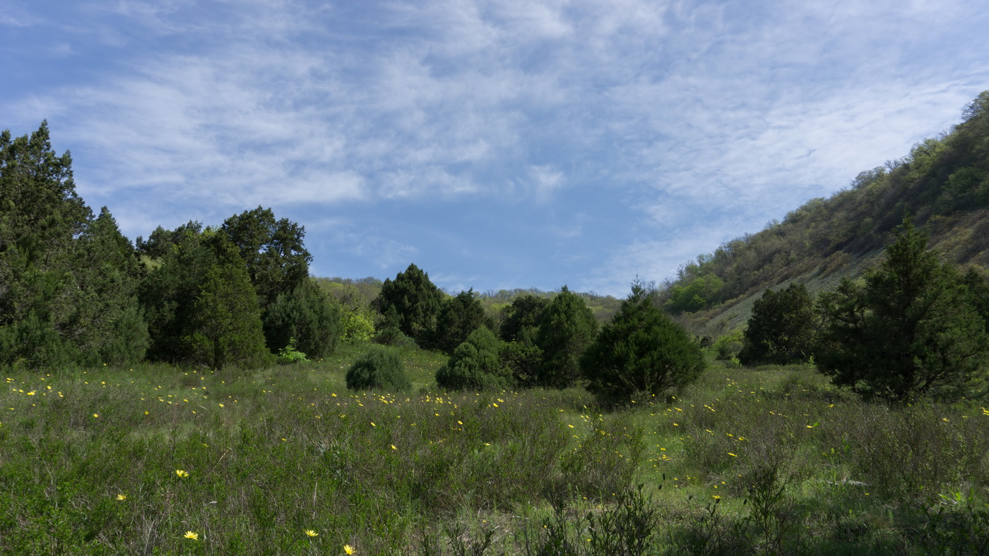 Мыс Большой Утриш, image of landscape/habitat.