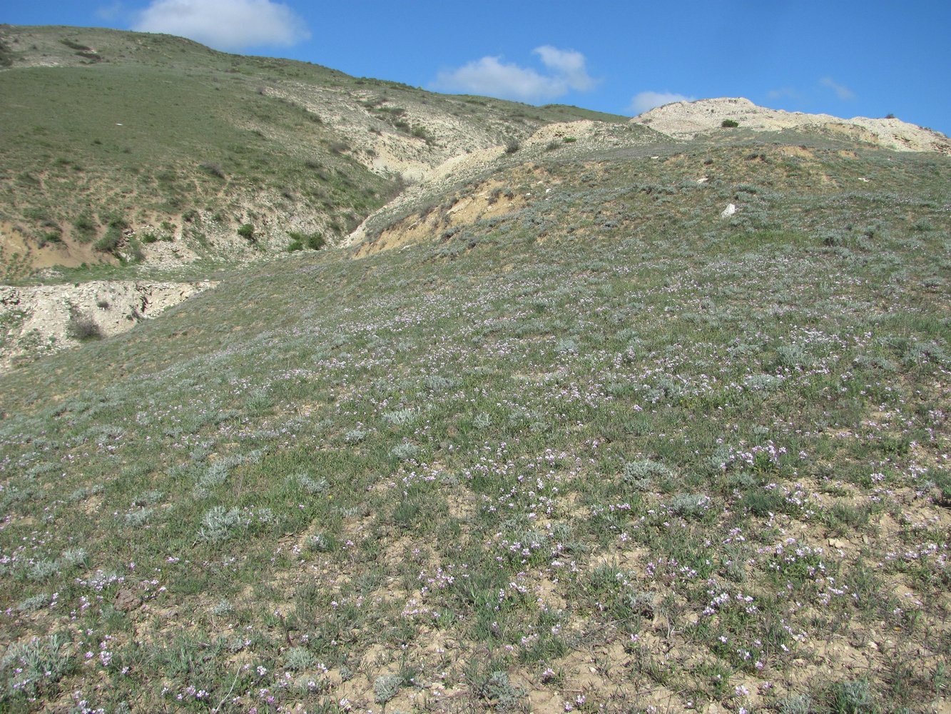 Талги, image of landscape/habitat.