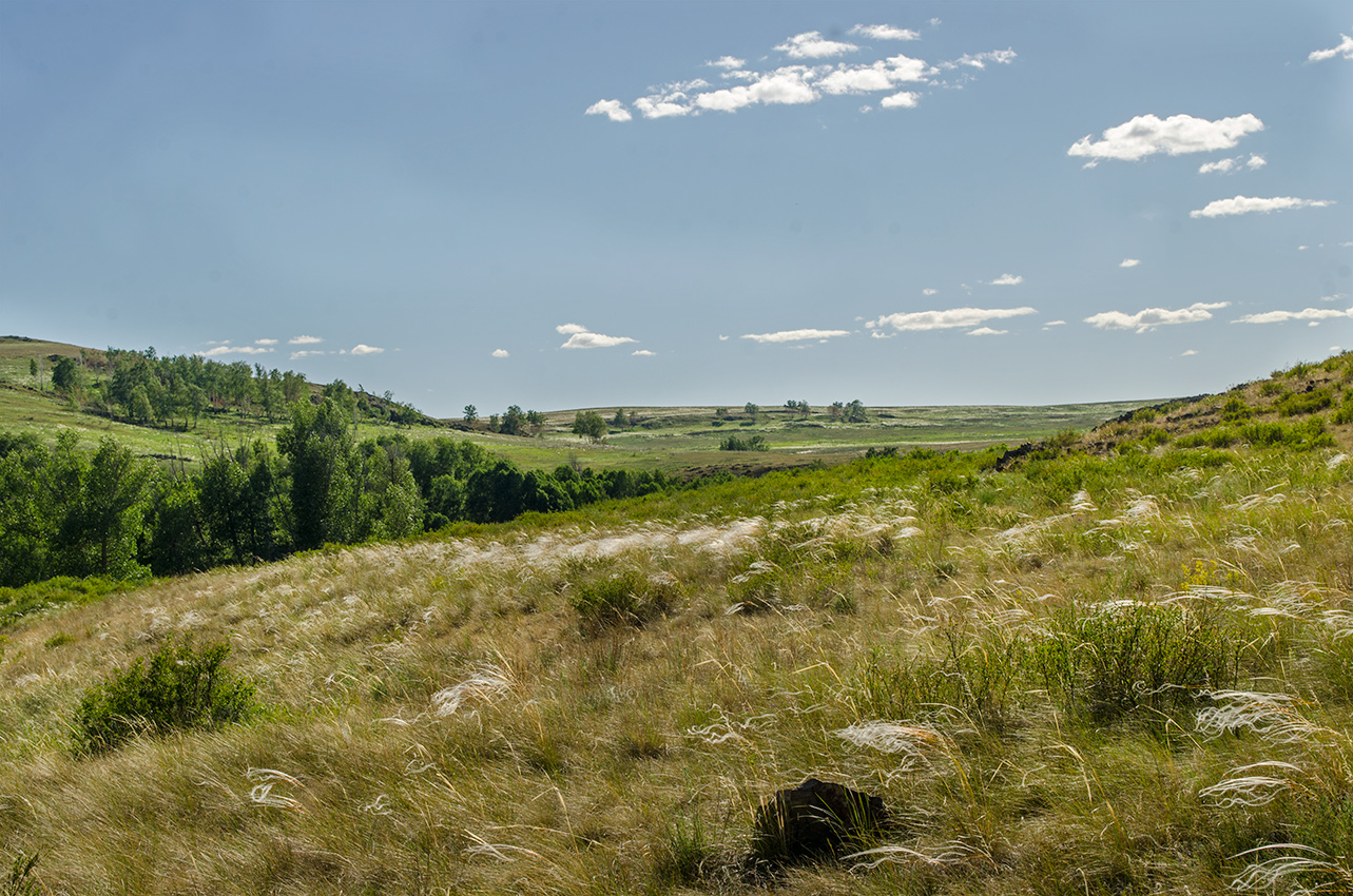 Ершовский, image of landscape/habitat.