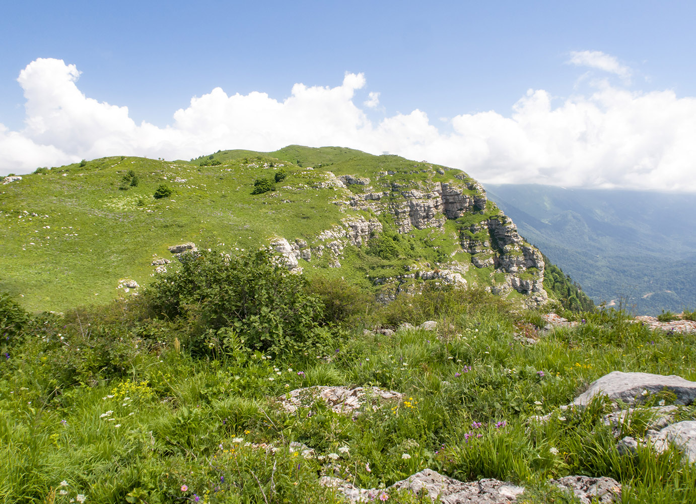 Черногор, image of landscape/habitat.