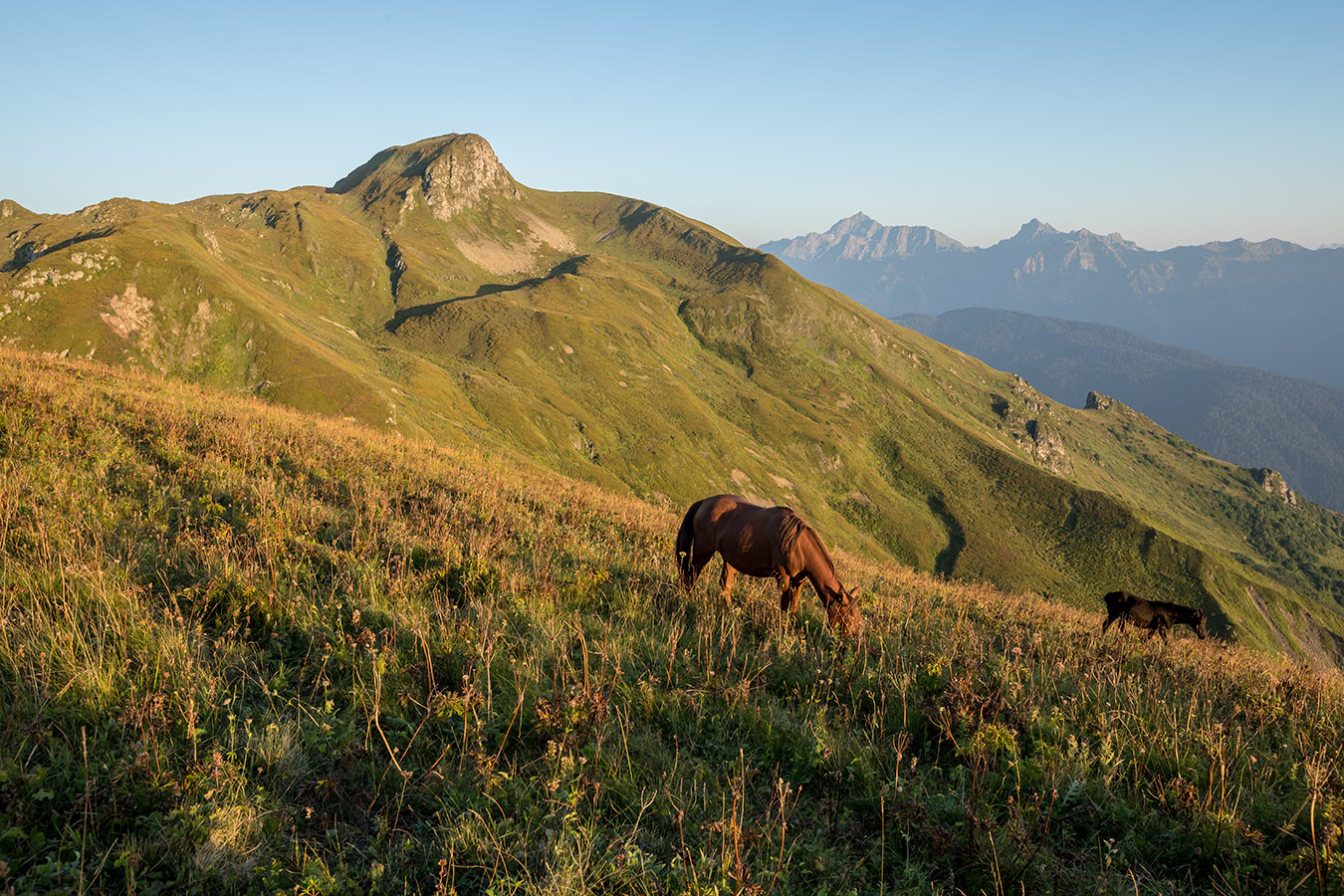 Хребет Бзерпи, image of landscape/habitat.