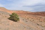 Landscape image
