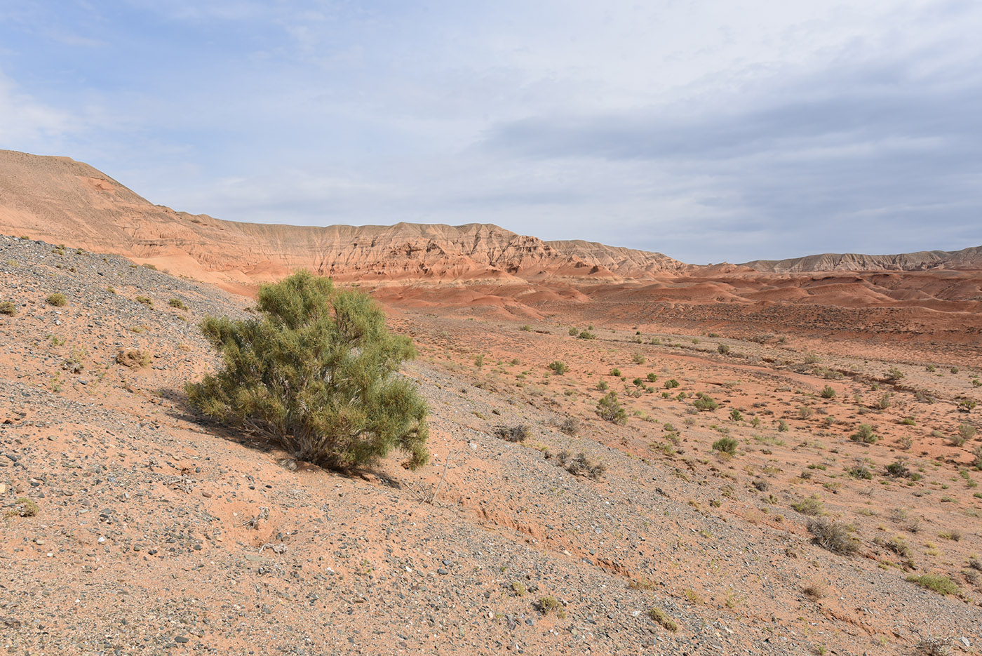 Горы Улькен-Богуты, image of landscape/habitat.