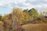 Балка Плотникова, image of landscape/habitat.