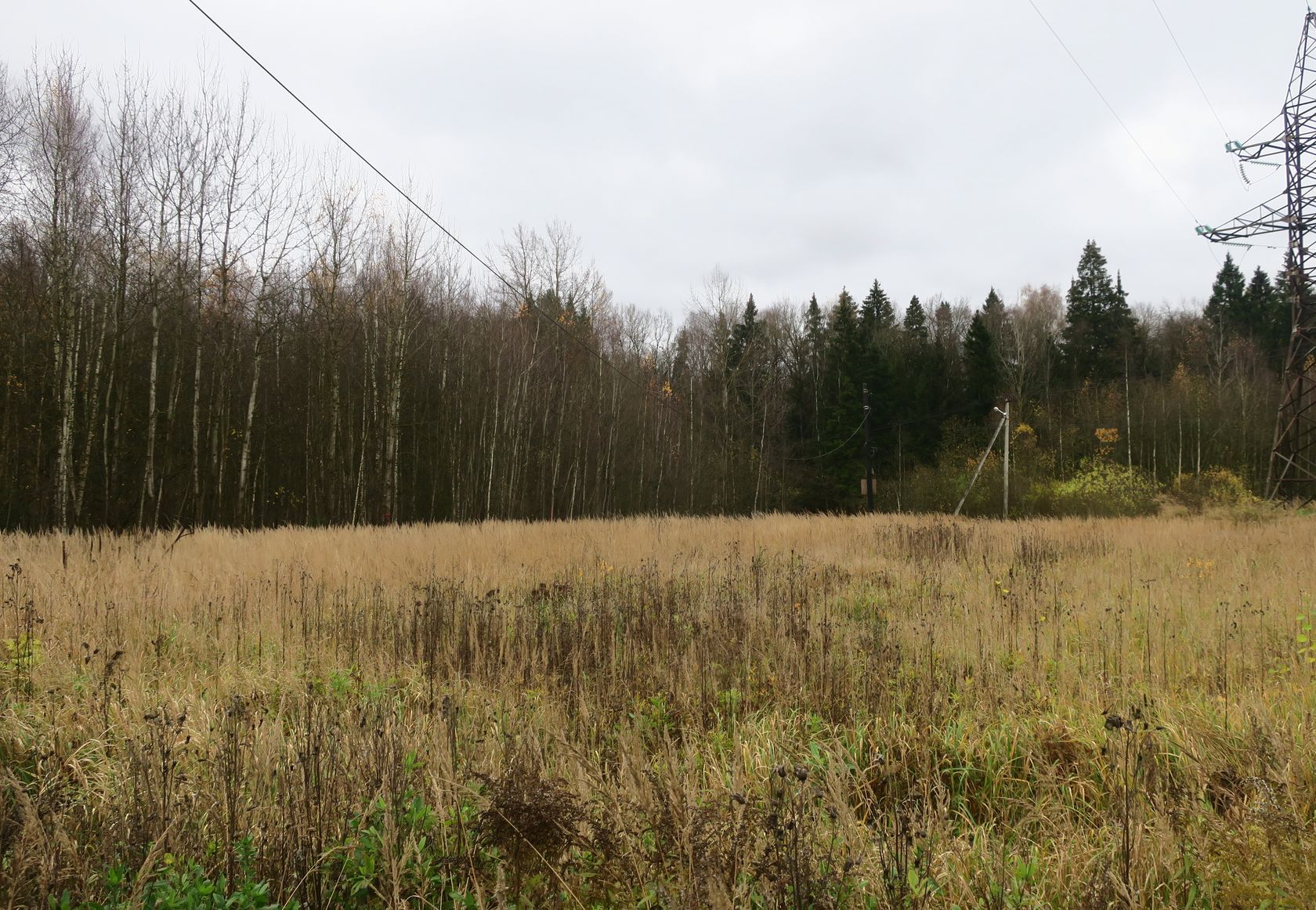 6-й км Красноармейского шоссе, image of landscape/habitat.