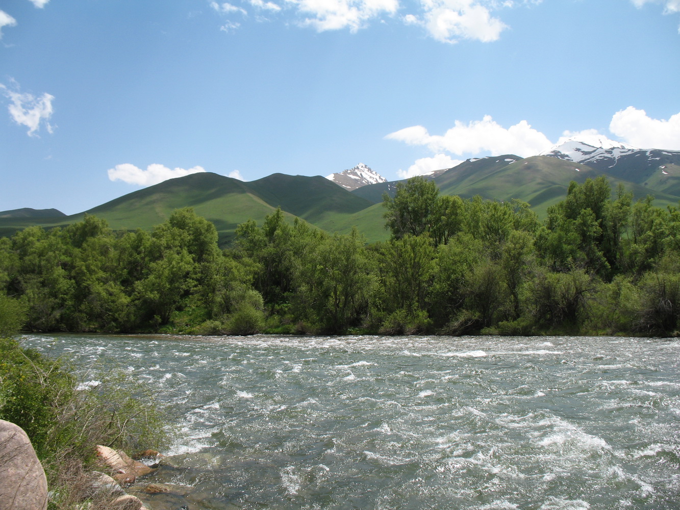 Суусамырская долина, image of landscape/habitat.