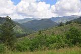 Цинубанская баня, image of landscape/habitat.
