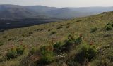 Image of landscape
