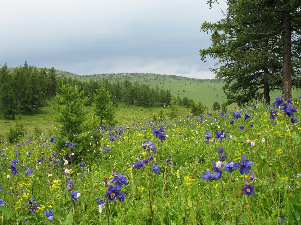 Маркакольский заповедник, image of landscape/habitat.