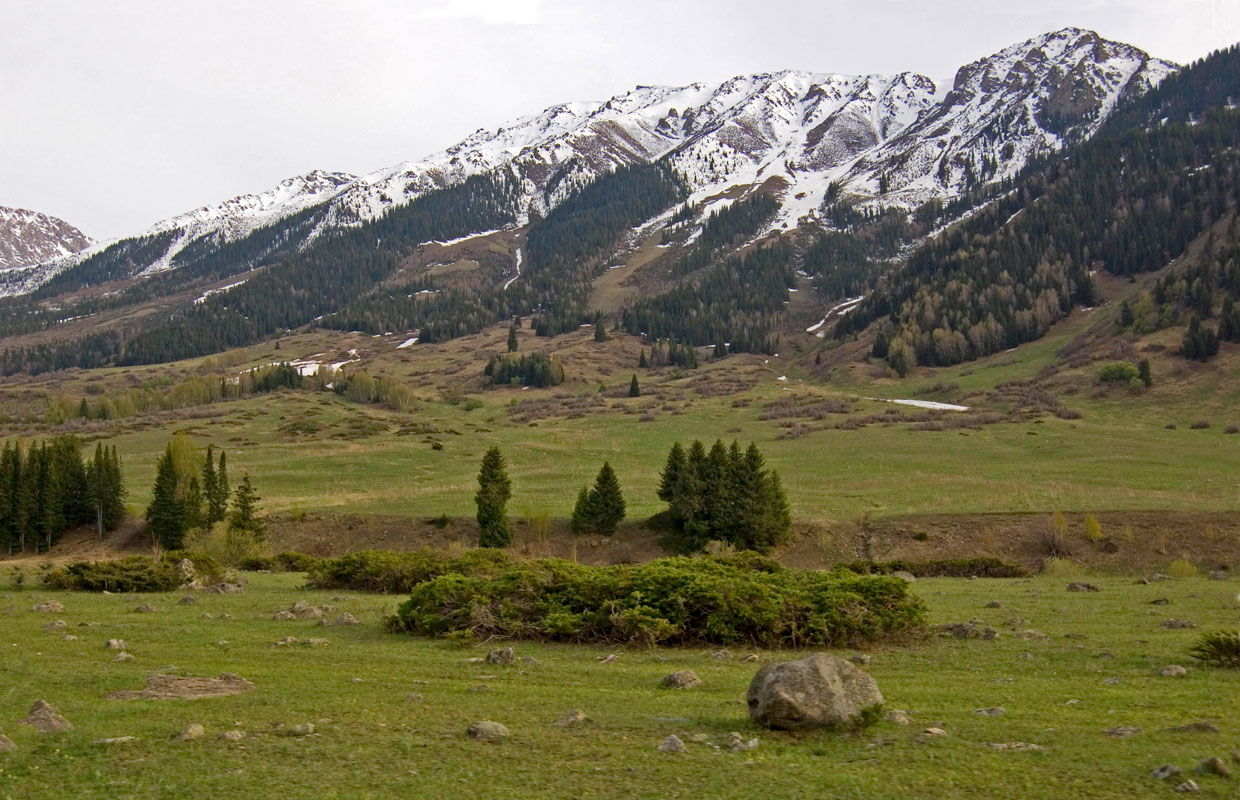 Верхнее ущелье, image of landscape/habitat.