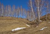 Окрестности деревни Бекленищева, image of landscape/habitat.