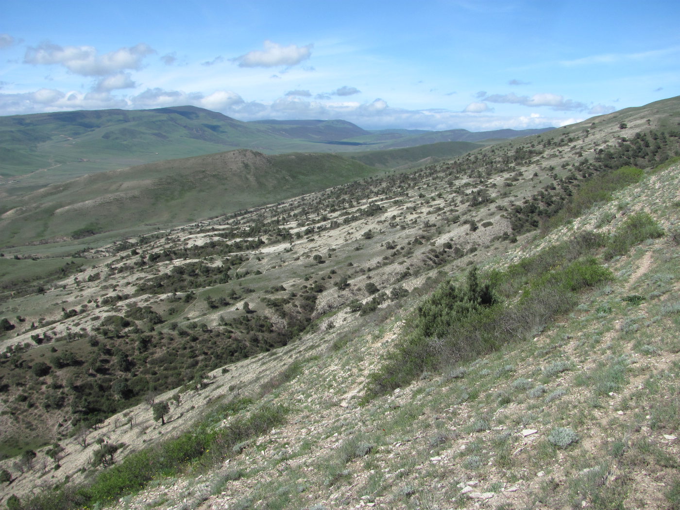 Талги, image of landscape/habitat.