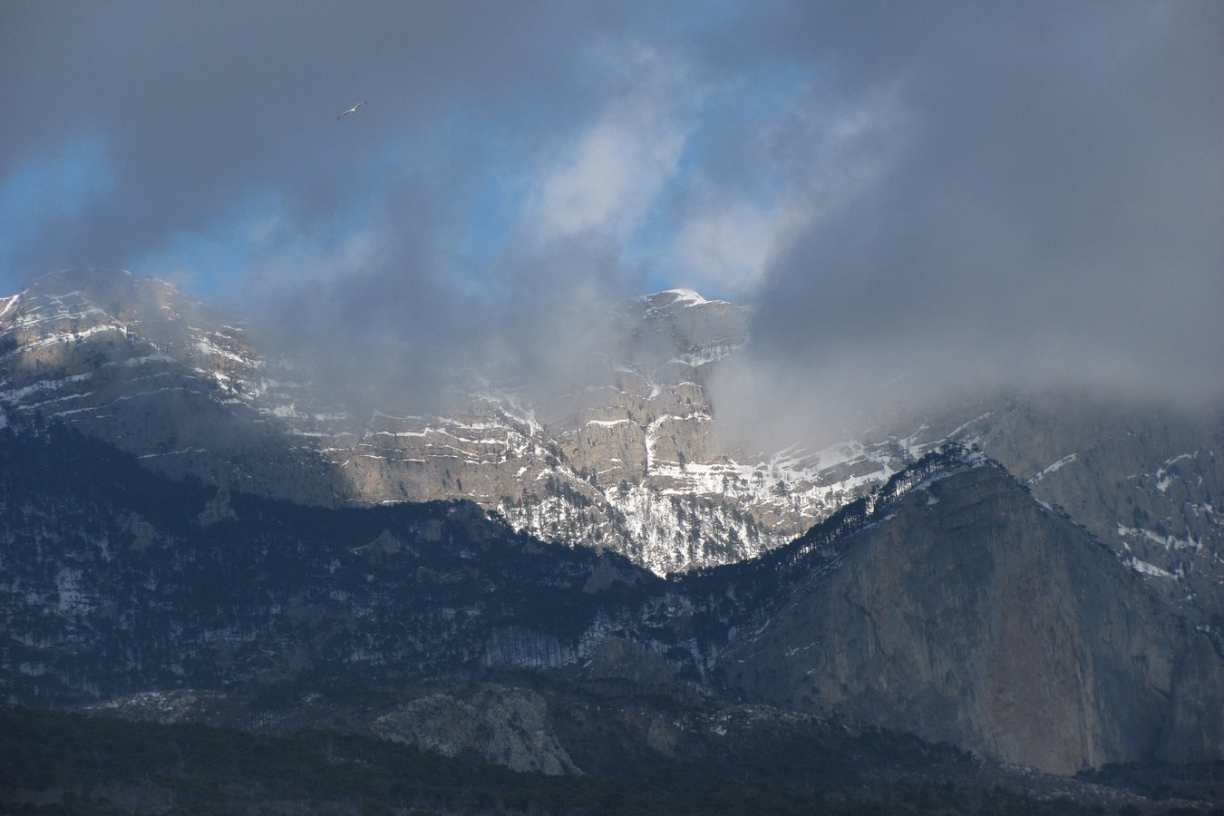 Ай-Петринская яйла, image of landscape/habitat.