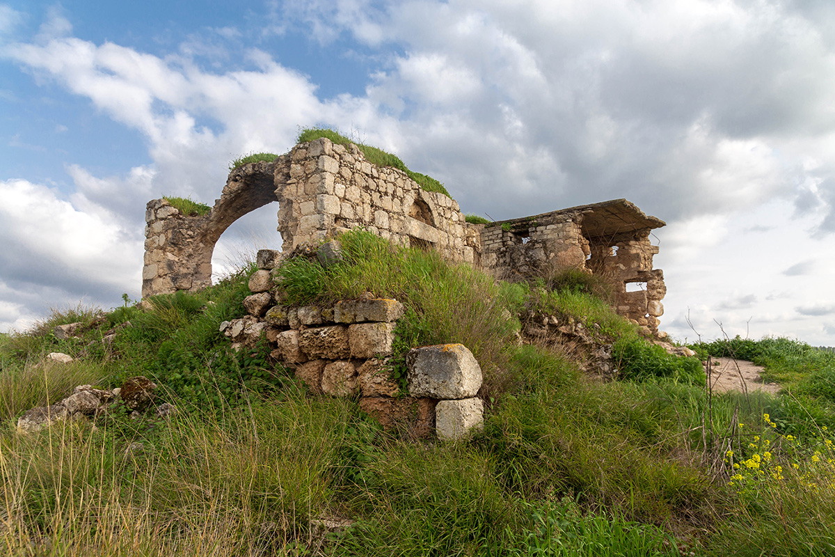 Окрестности Латруна, image of landscape/habitat.