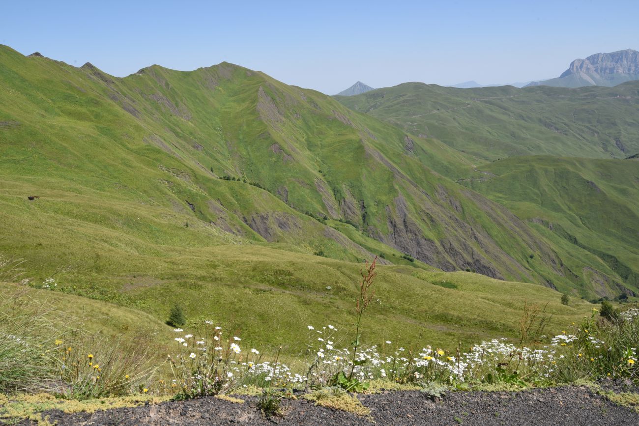Юго-восточный склон Чархунышкорт, image of landscape/habitat.