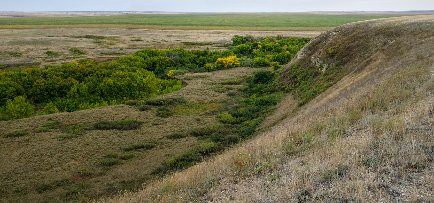 Змеиная гора, image of landscape/habitat.